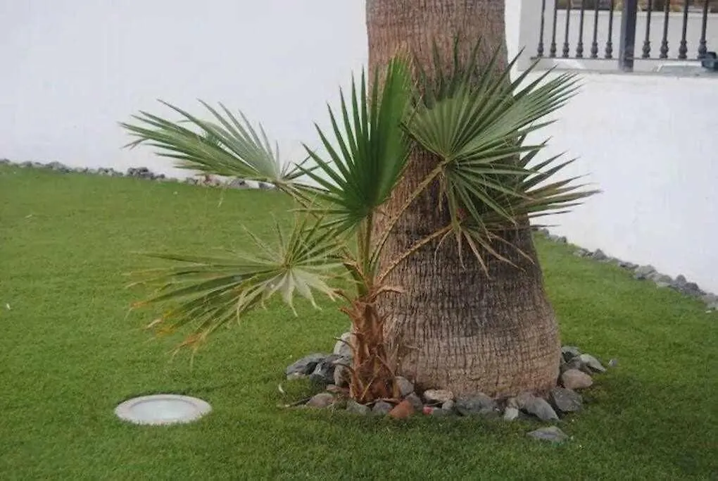 Vivienda Vacacional Habitat Tropical Maspalomas  Spain